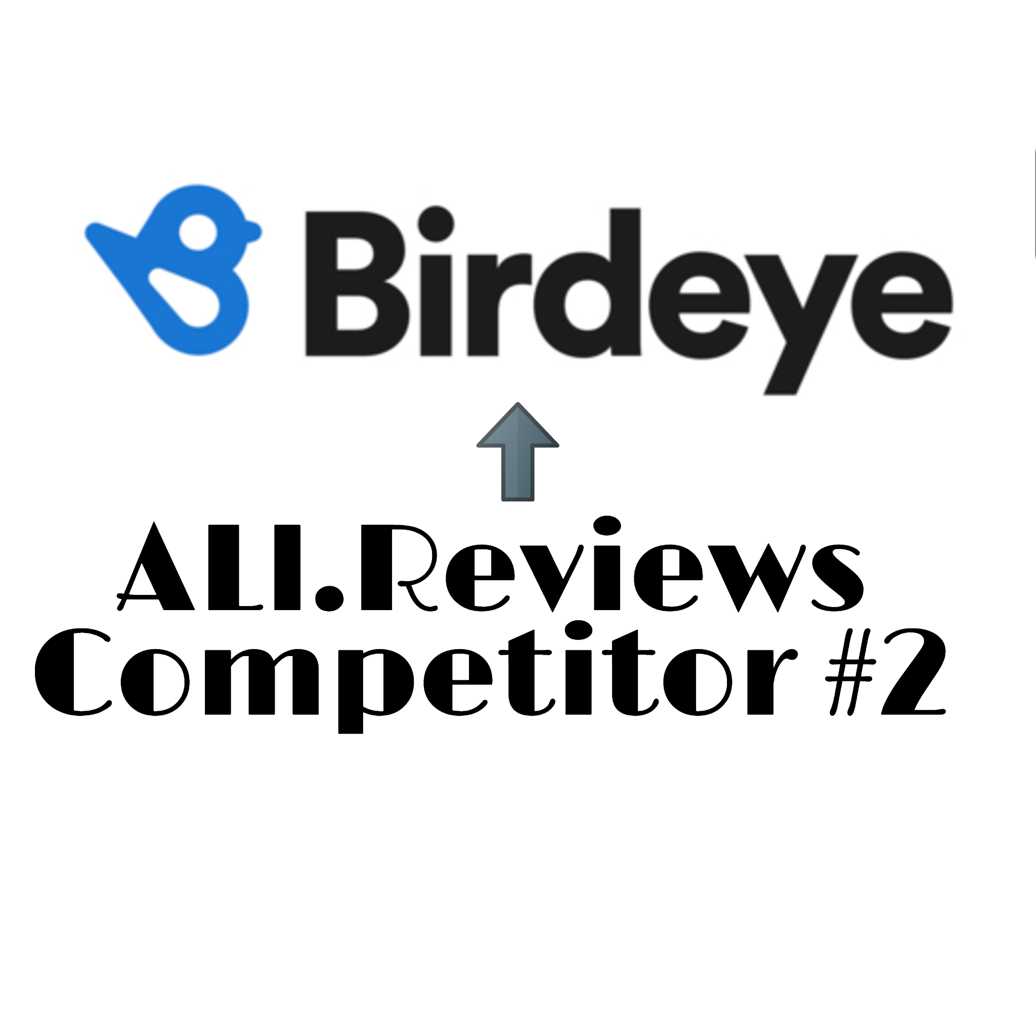 Birdeye